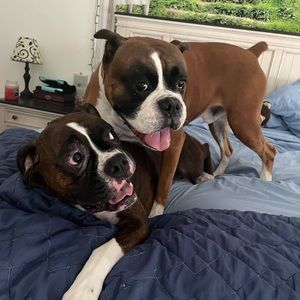 Meet your Posher, Noah